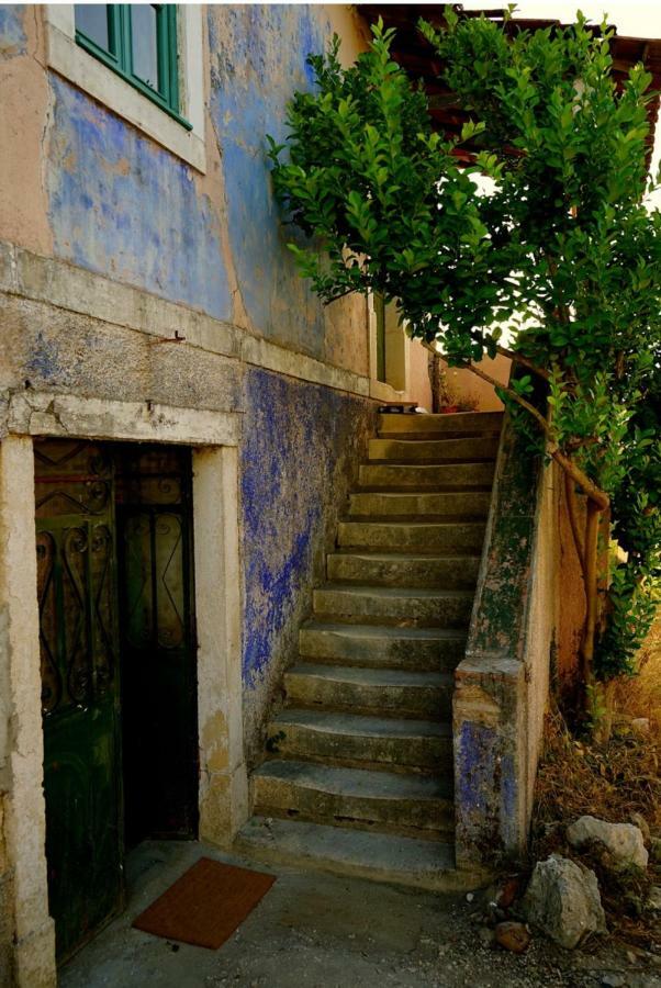 Sao Miguel House , Casa Do Carvalhal Guest House Santarem Ngoại thất bức ảnh